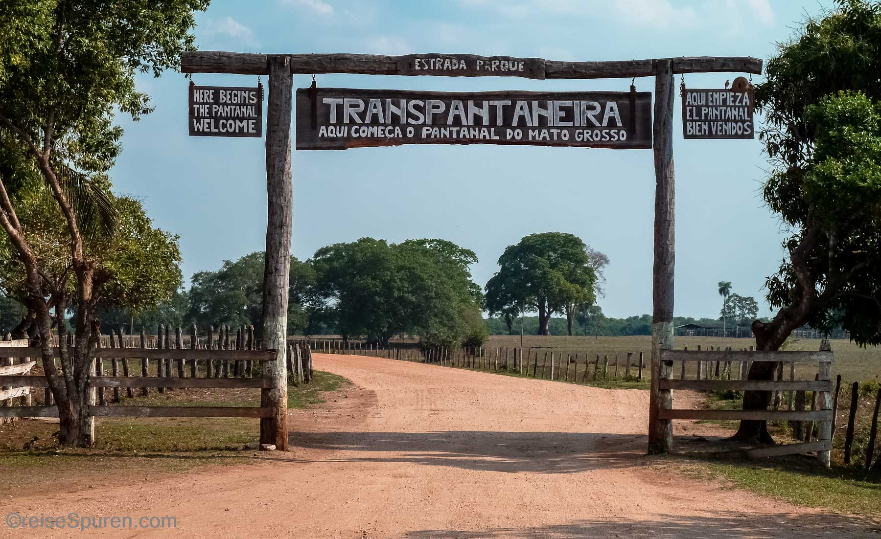Transpantaneira