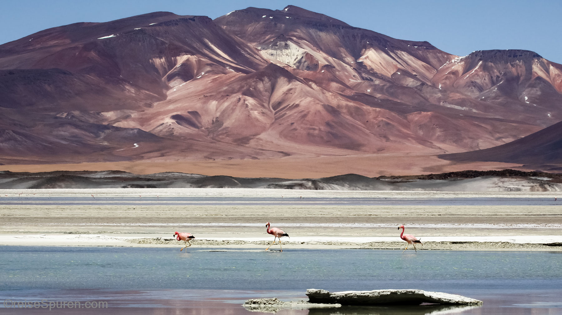 Salar de Talar