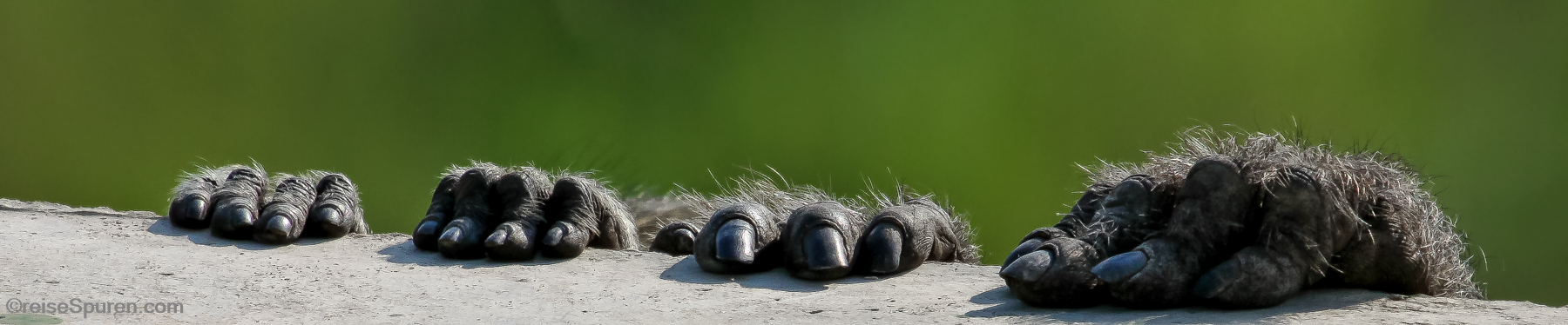 Wer versteckt sich hier?